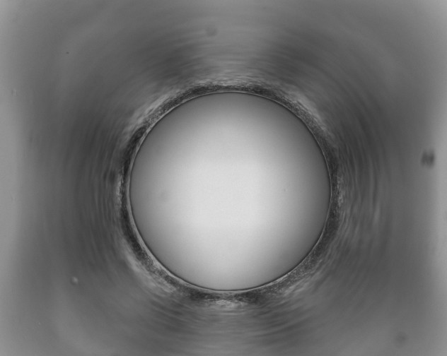 X0000089760542200706210956