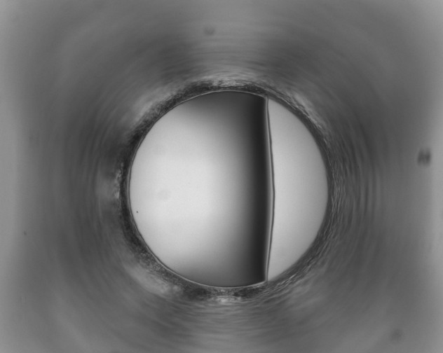 X0000089760543200706210956