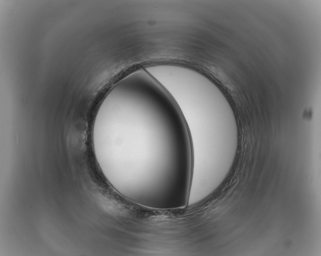 X0000089760544200706210956