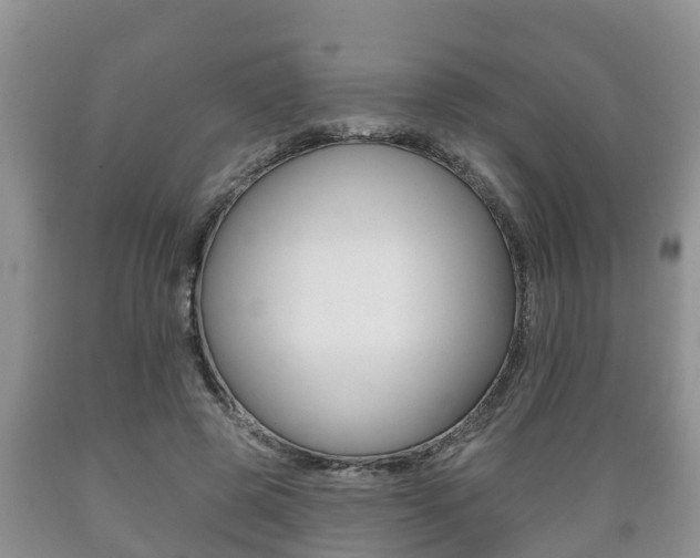 X0000089760545200706210956