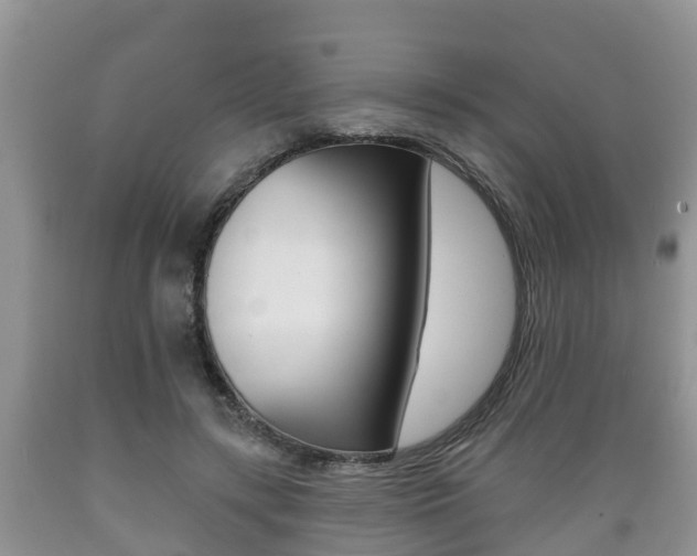 X0000089760547200706210957