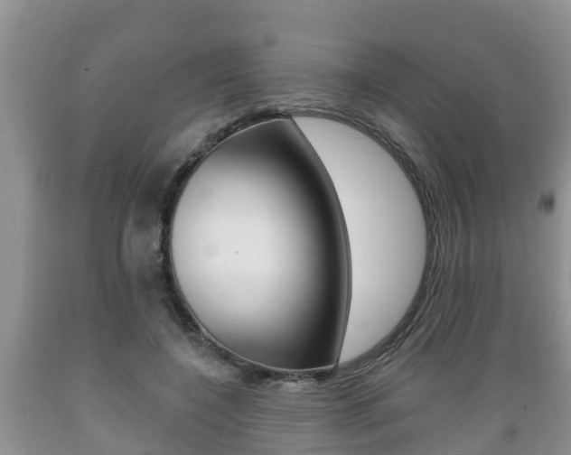 X0000089760548200706210957