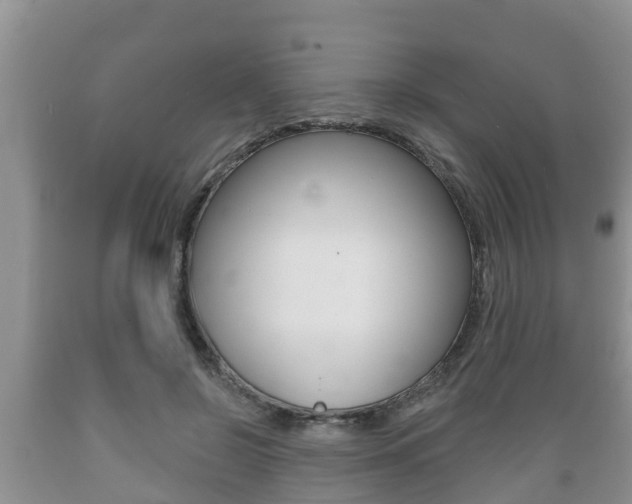 X0000089760550200706210957