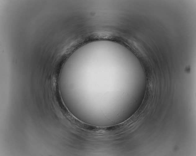X0000089760551200706210957
