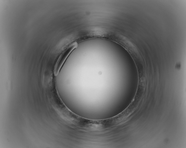 X0000089760552200706210957