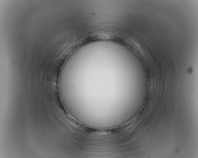 X0000089760553200706210957