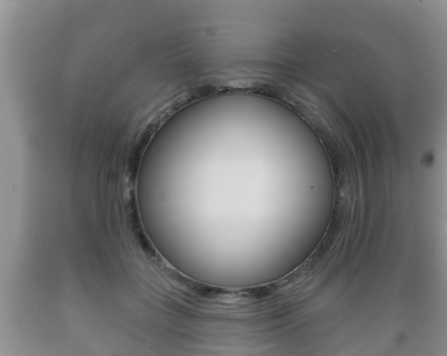 X0000089760555200706210957