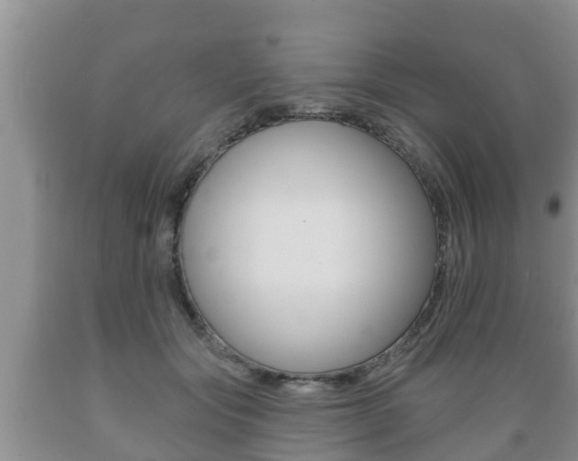 X0000089760557200706210957