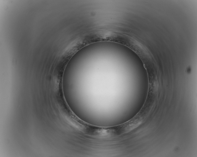 X0000089760558200706210957