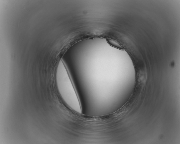 X0000089760559200706210957