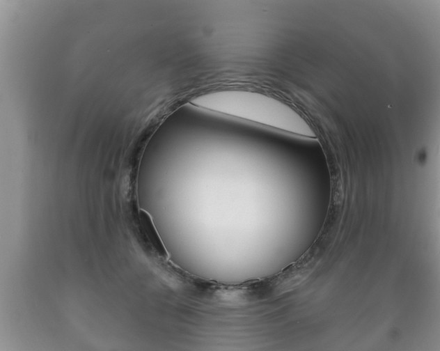 X0000089760560200706210957