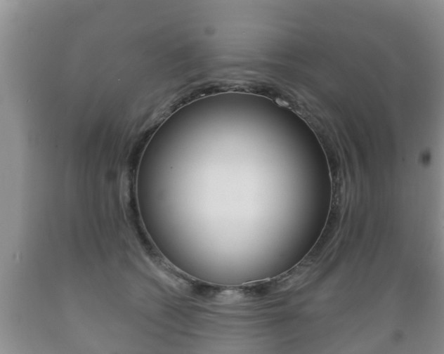 X0000089760562200706210957