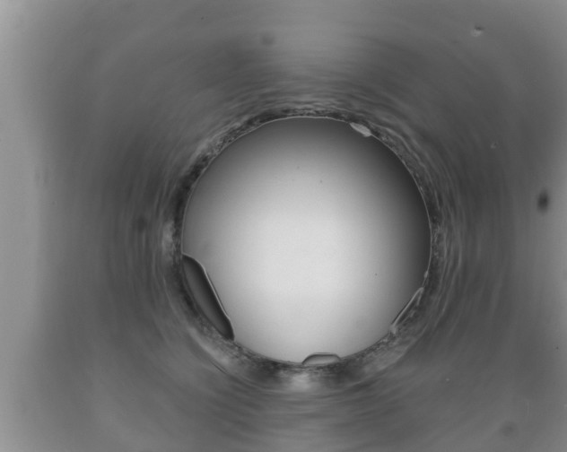 X0000089760564200706210957