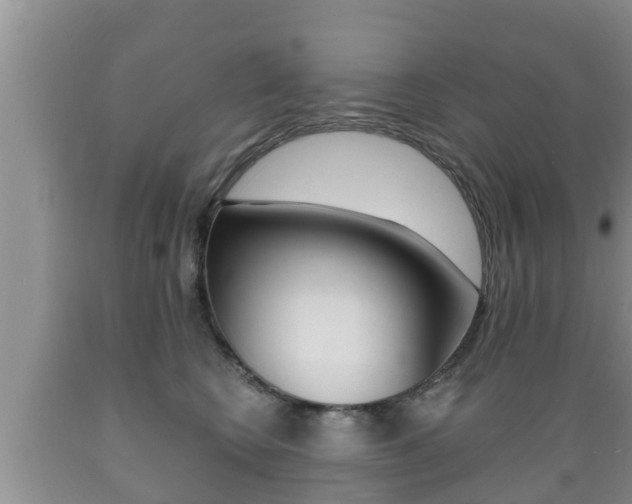 X0000089760566200706210957