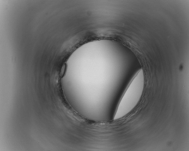 X0000089760567200706210957