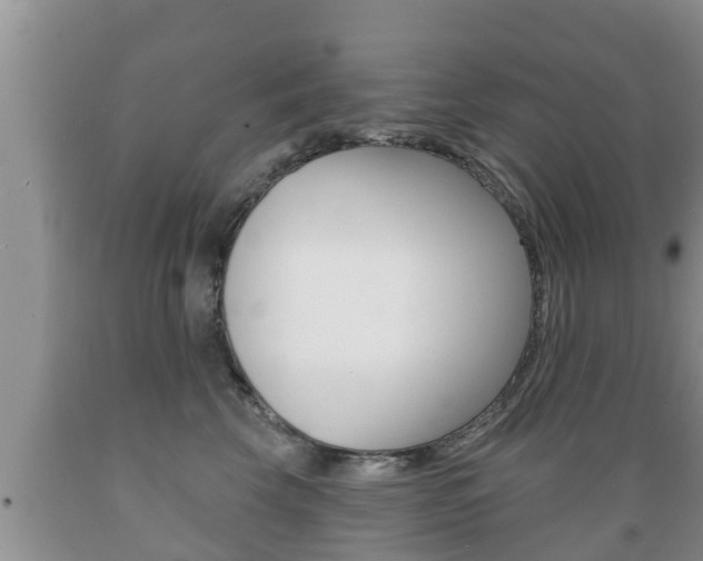 X0000089760569200706210957
