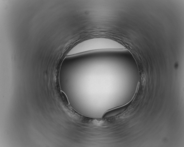 X0000089760570200706210957