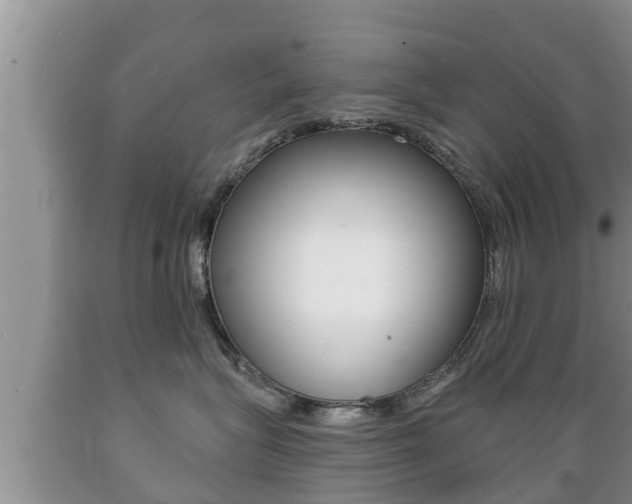 X0000089760575200706210957
