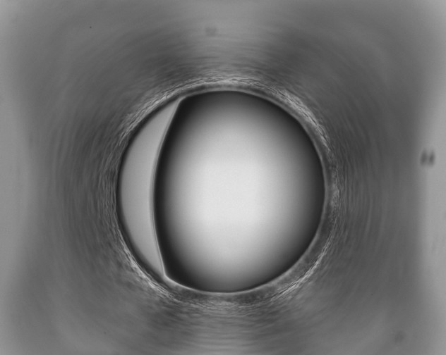 X0000089760577200706210956