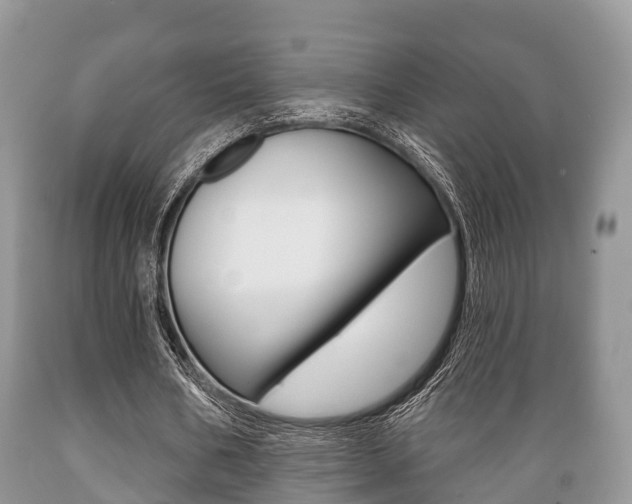 X0000089760578200706210956