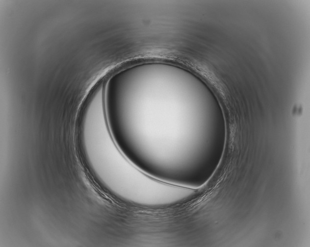 X0000089760580200706210956