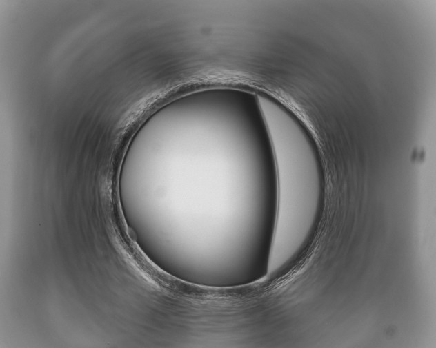 X0000089760581200706210956