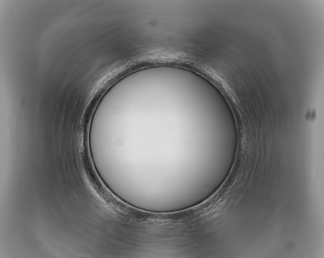 X0000089760582200706210956