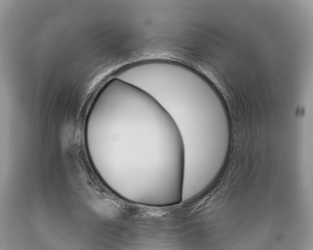 X0000089760583200706210956