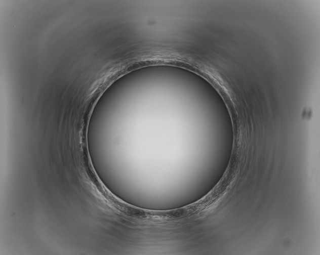X0000089760585200706210956