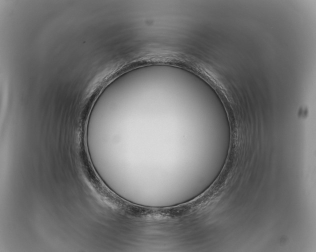 X0000089760586200706210956