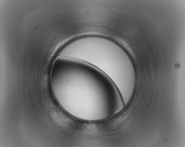 X0000089760588200706210956