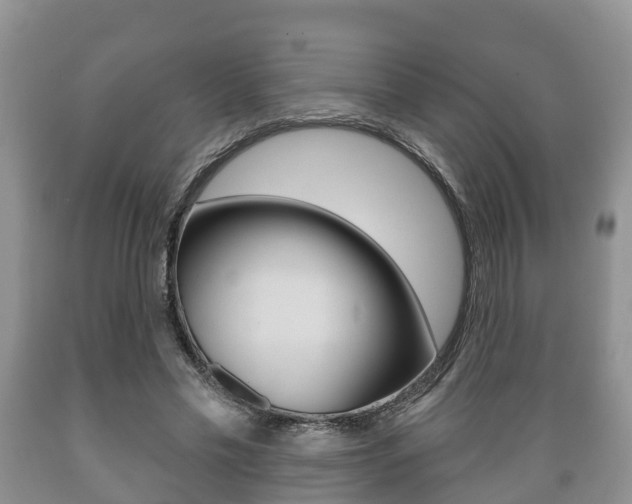 X0000089760589200706210956