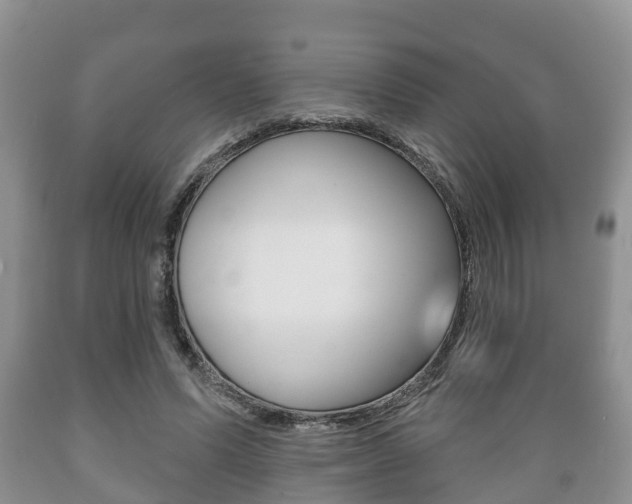X0000089760591200706210956
