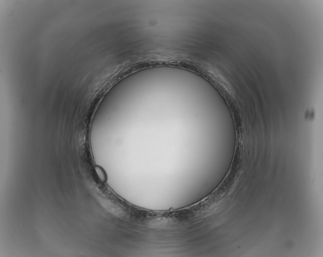 X0000089760593200706210956