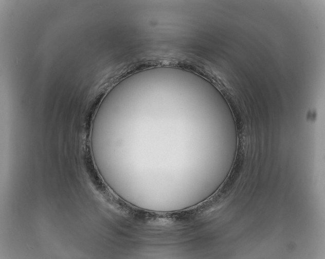 X0000089760594200706210956