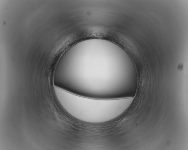 X0000089760595200706210956