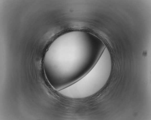 X0000089760596200706210956