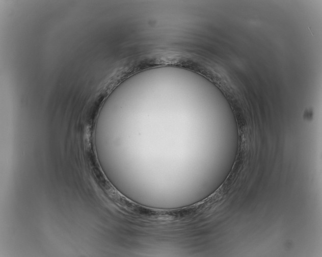 X0000089760598200706210956