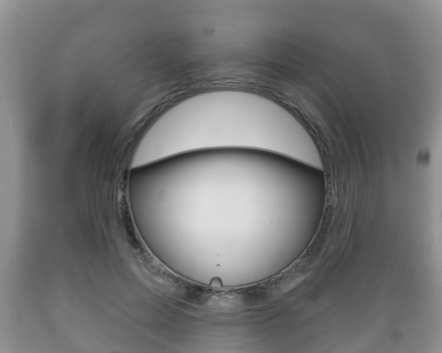 X0000089760599200706210956