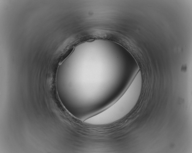 X0000089760600200706210956