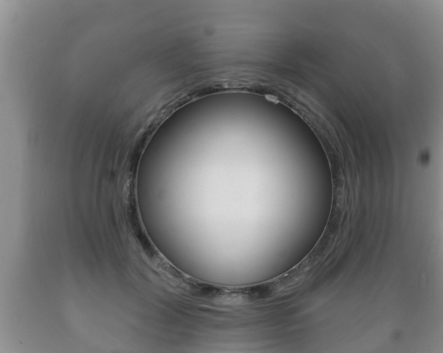 X0000089760604200706210956