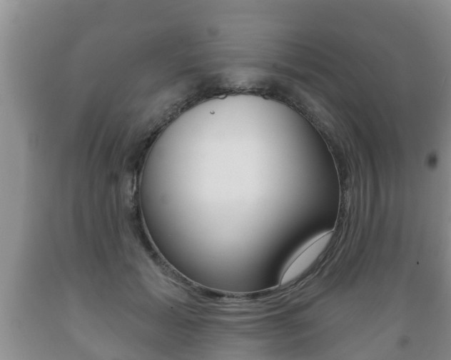 X0000089760605200706210956