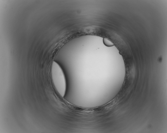 X0000089760606200706210956