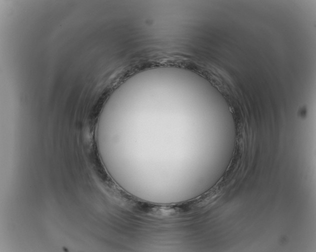 X0000089760607200706210956