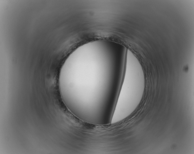 X0000089760608200706210956