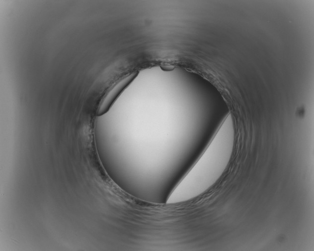 X0000089760609200706210956