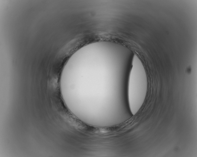 X0000089760610200706210956