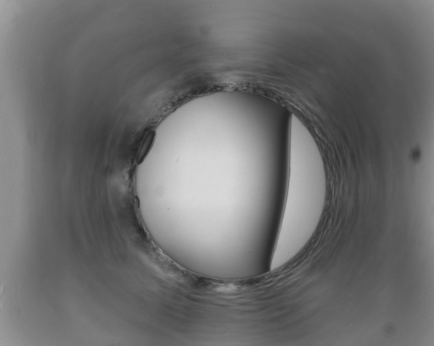 X0000089760611200706210956