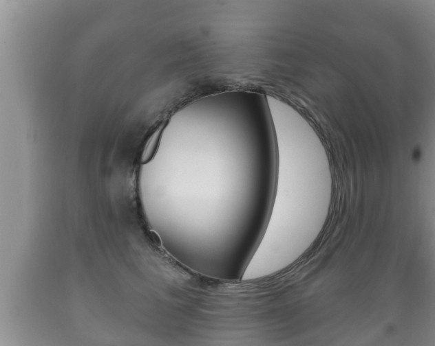 X0000089760613200706210956