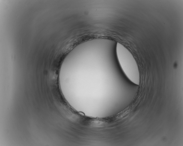 X0000089760614200706210956